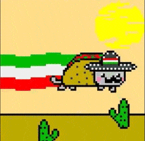 Cinco De Mayo Mexico GIF