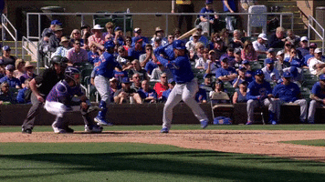 Willson Contreras Cubs GIF by Marquee Sports Network