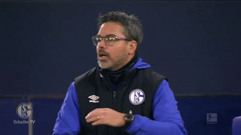 Football Soccer GIF by FC Schalke 04 - Find & Share on GIPHY