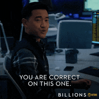 you are correct on this one season 4 GIF by Billions