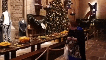 Admiring Harry Potter GIF by Temple Of Geek