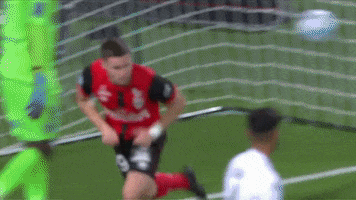 French Football GIF by EA Guingamp