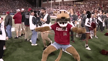 College Football GIF by ESPN