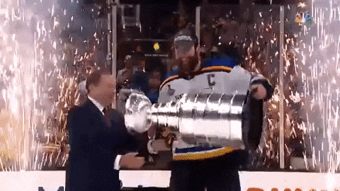 Stanley Cup Championships GIFs