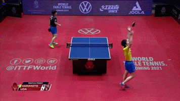 Ping Pong Celebration GIF by ITTFWorld