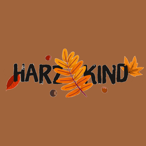 Home Autumn GIF by HARZKIND