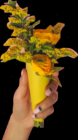 flowerbodega flowers nails bouquet yellowflowers GIF
