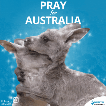 Australia Pray GIF by Digital discovery