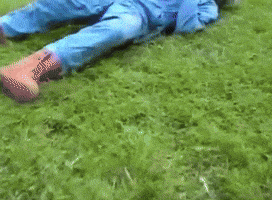 Frejap GIF