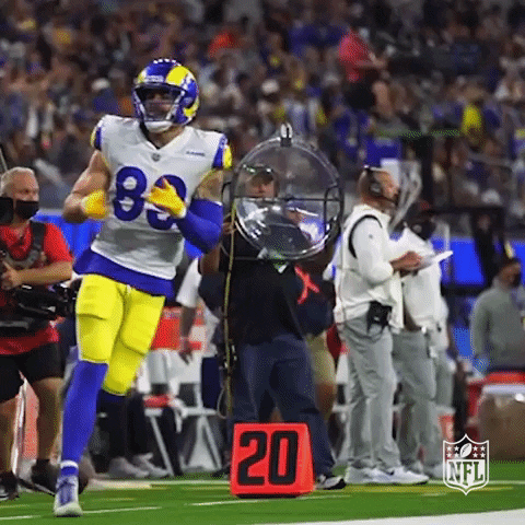 Happy Los Angeles GIF by NFL
