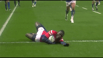 Usa Rugby GIF by Rugby World Cup