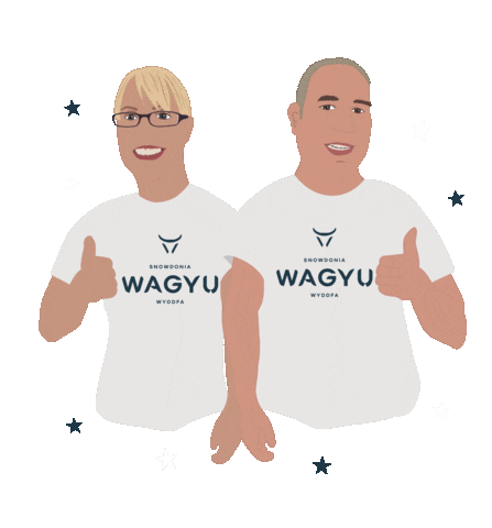 Snowdonia Wagyu Sticker