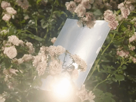 Still Run You'Re Not Wrong GIF by Wet