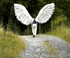 200.gif?cid=fc005b0821e1a5ab2d061d4f7c2e802c52bb5acf5101f7ae&rid=200.gif&ct=g