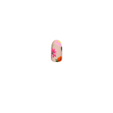 GIF by Color Camp