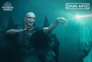 Goblet Of Fire Fight GIF by Harry Potter