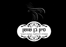 shlomielbilia GIF