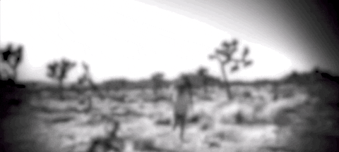 Cant Be Worse Gifs Get The Best Gif On Giphy