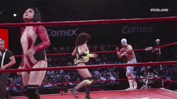 Lucha Libre Win GIF by THE WRESTLERS