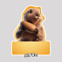 200.gif?cid=fc005b089578ca72a290605c520bcb9582e77ee81f364685&rid=200.gif&ct=g