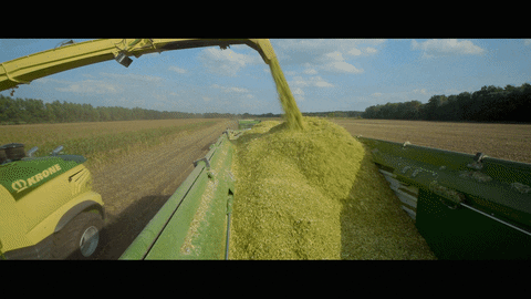 Corn-farming GIFs - Get the best GIF on GIPHY