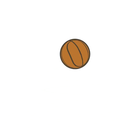 New York Knicks Basketball GIF by SportsManias