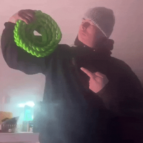 Bungee Frdm GIF