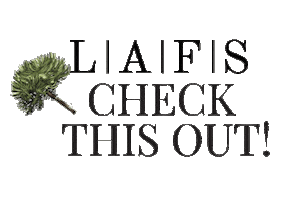 Check This Out Republica Dominicana Sticker by Latin American Fashion Summit