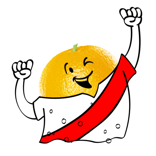 Peru Seleccion Sticker by Del Valle&Nada Chile