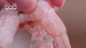 Fresh Prawn GIF