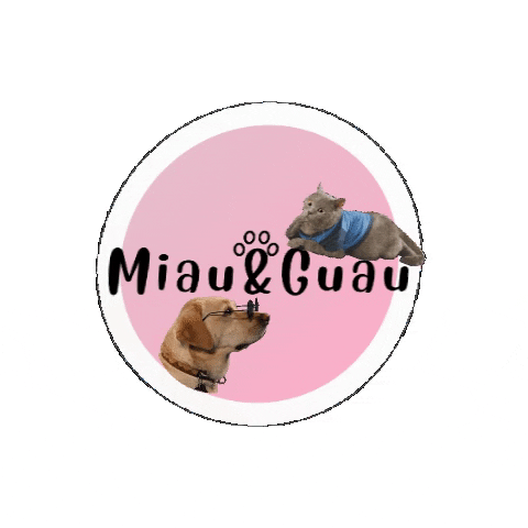 Miauandguau GIF
