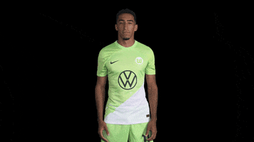 Fail Oh No GIF by VfL Wolfsburg