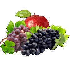 Suco Sticker by vallevita