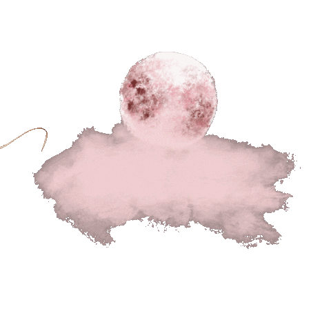 Rose Gold Goddesses Sticker