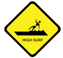Surf Life Saving Queensland Sticker
