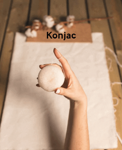Konjac GIF