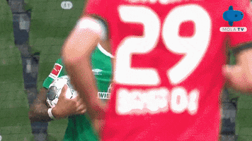 Angry Werder Bremen GIF by MolaTV