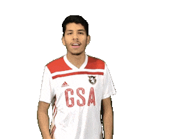 Soccer Gsa Sticker by Gateway Sports Academy