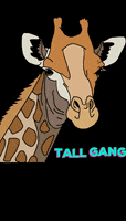 Giraffe Tall Girls GIF by WEXIST INC