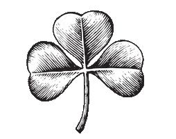 Happy St Patricks Day Sticker by Lambay Irish Whiskey