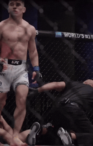 Ufc Mma GIF