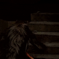 the cabin in the woods