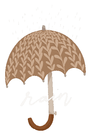 Rain Sticker