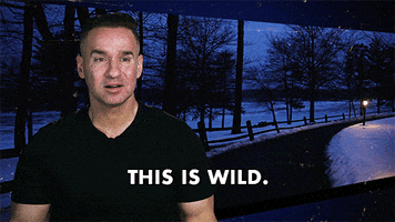 This Is Crazy Jersey Shore GIF by Jersey Shore Family Vacation
