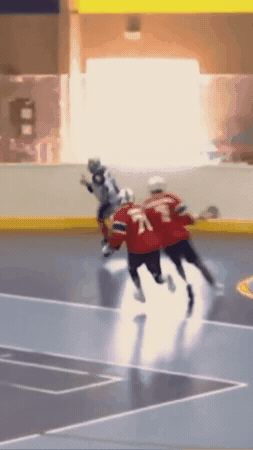Box Lacrosse GIF by delftlacrosse