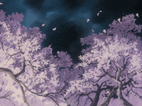 Featured image of post The Best 13 Gif Aesthetic Night Cherry Blossom Anime