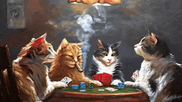Poker Face Funny Animals GIF