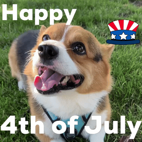 Happy 4Th Of July GIF