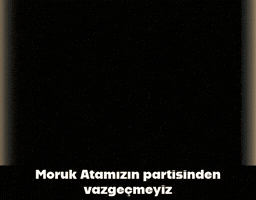 Chp Kemalist GIF
