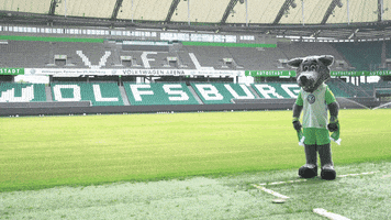 football love GIF by VfL Wolfsburg